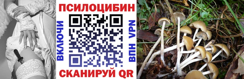 купить Жуковка Галлюциногенные грибы прущие грибы